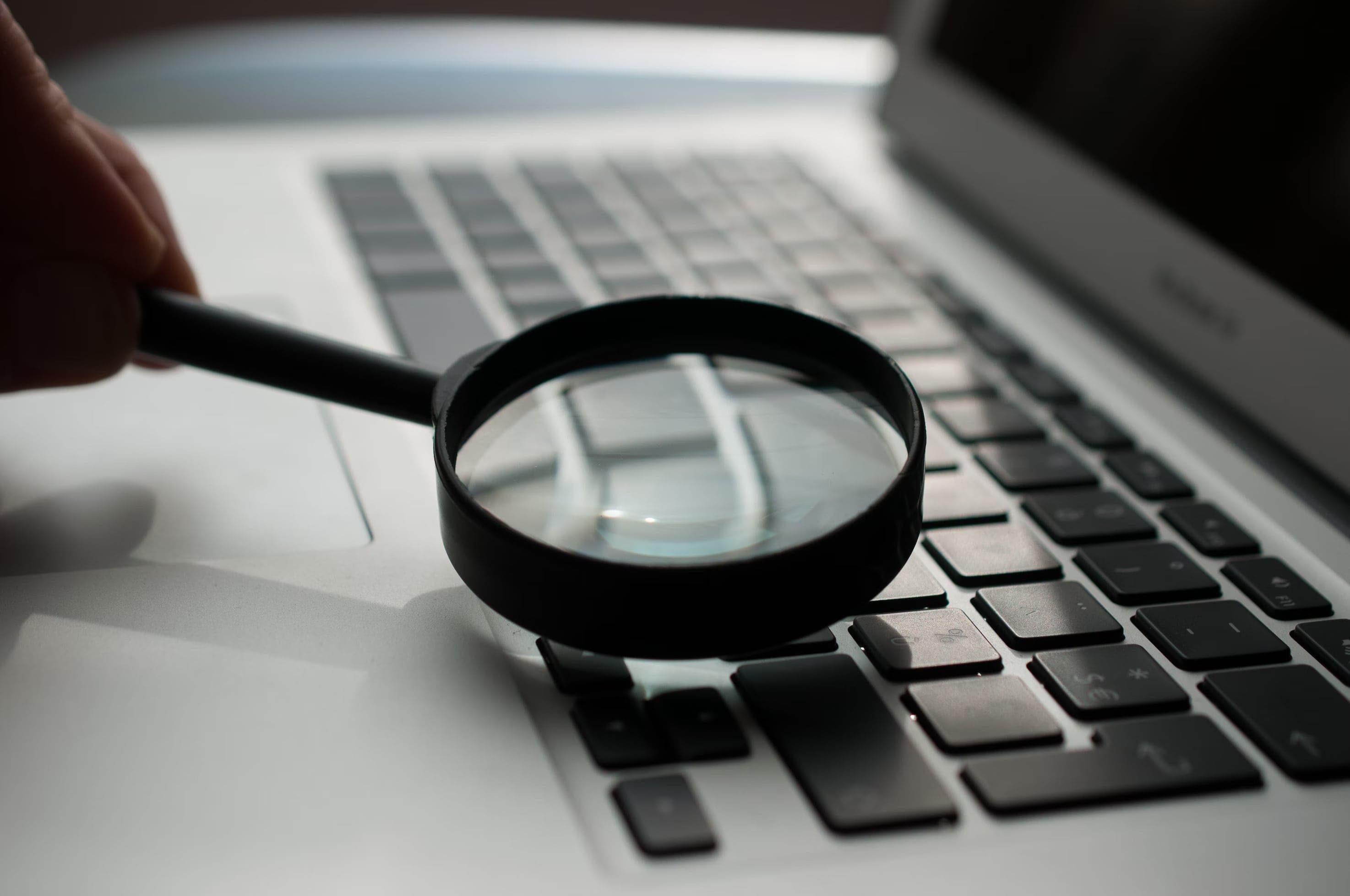 Bearicon -10 exceptional and useful websites that even the best internet user wouldn't know